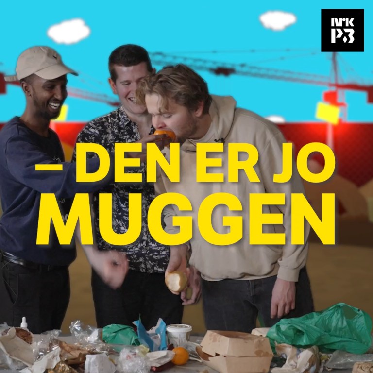 Dynga «Gjett søppelet» 3