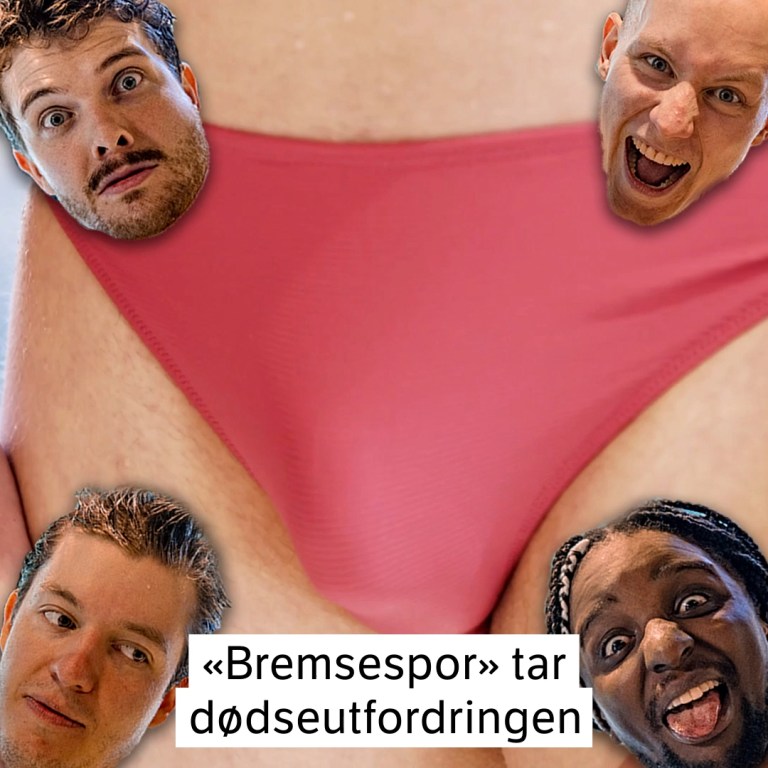 Link i bio: Bremsespor dødser