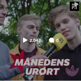 Link i bio: «Månedens Urørt»: Vettche