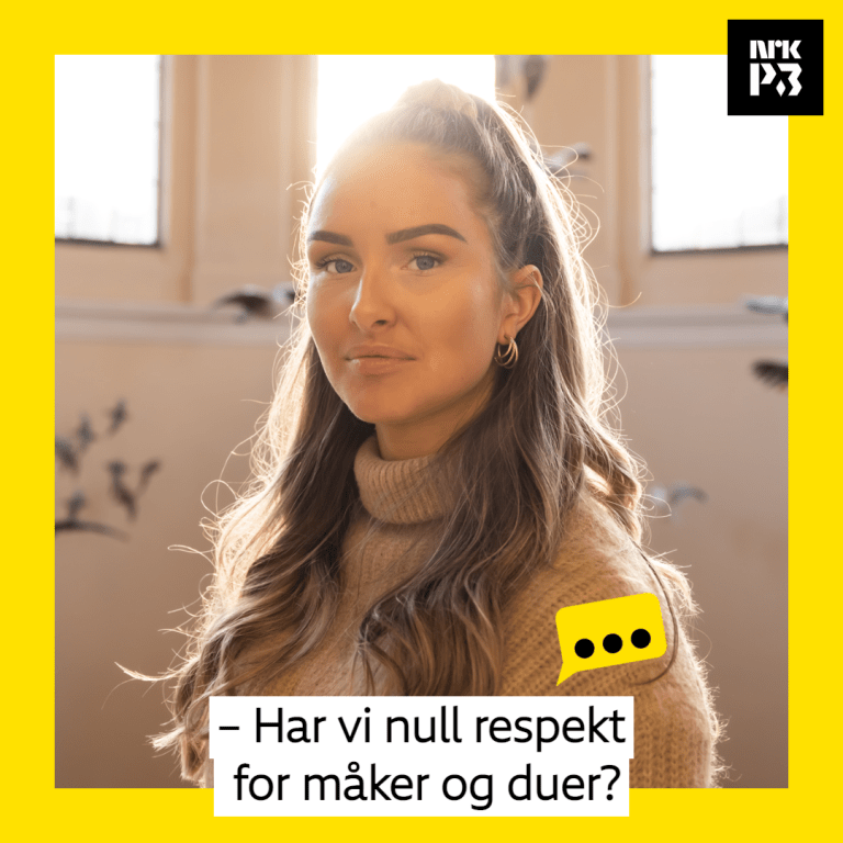 Link i bio: – Har vi null respekt for måker og duer?