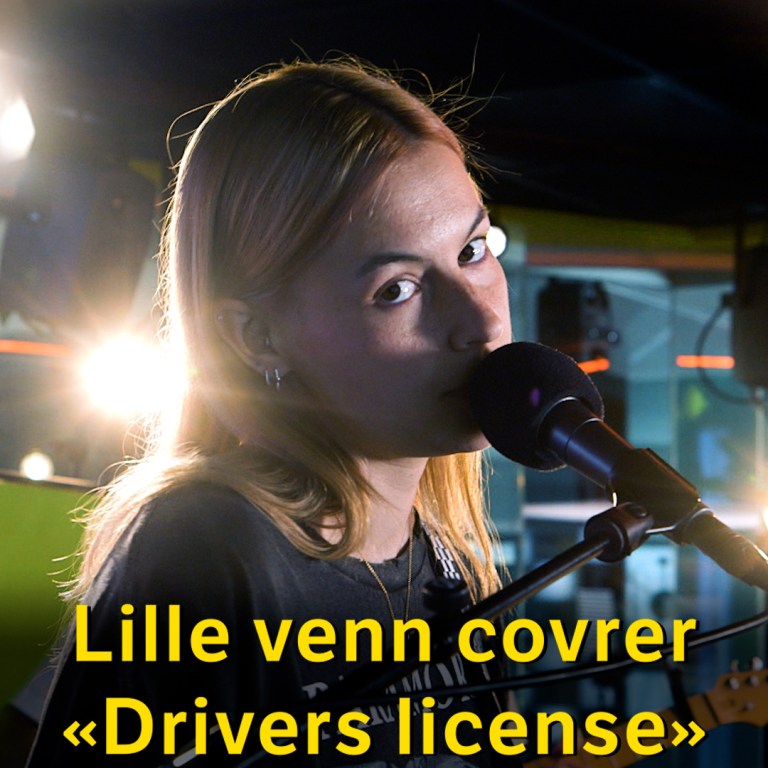Link i bio: Lille Venn covrer drivers license