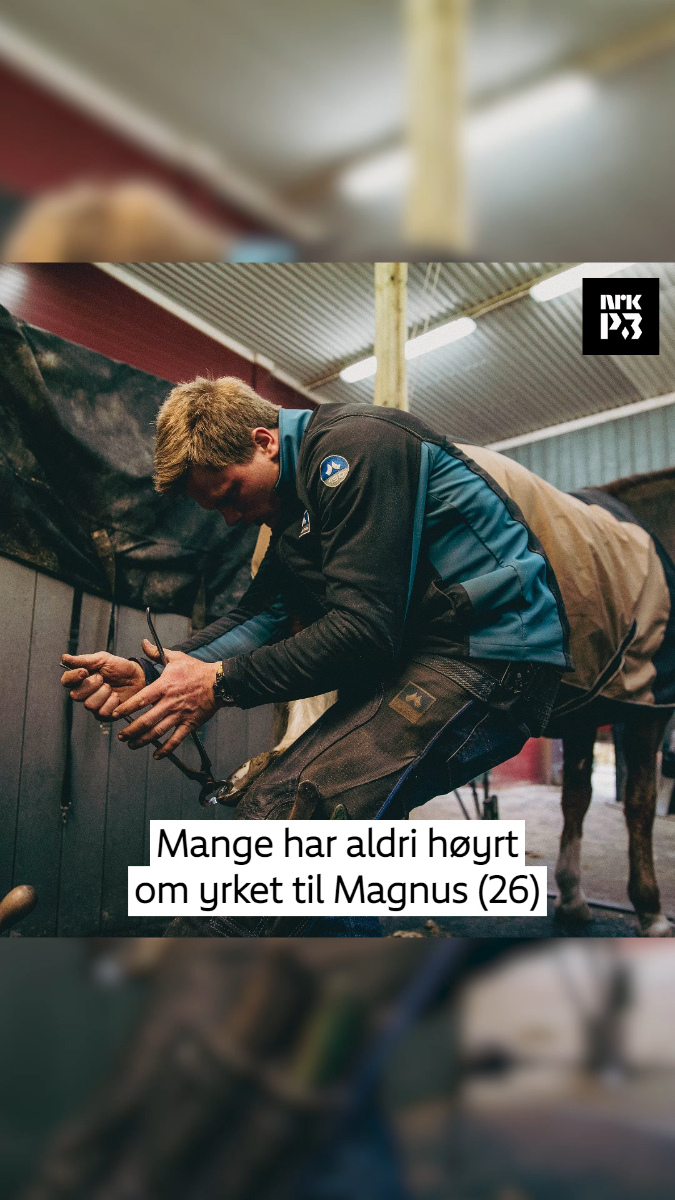 Link i bio: Hovslagar Magnus