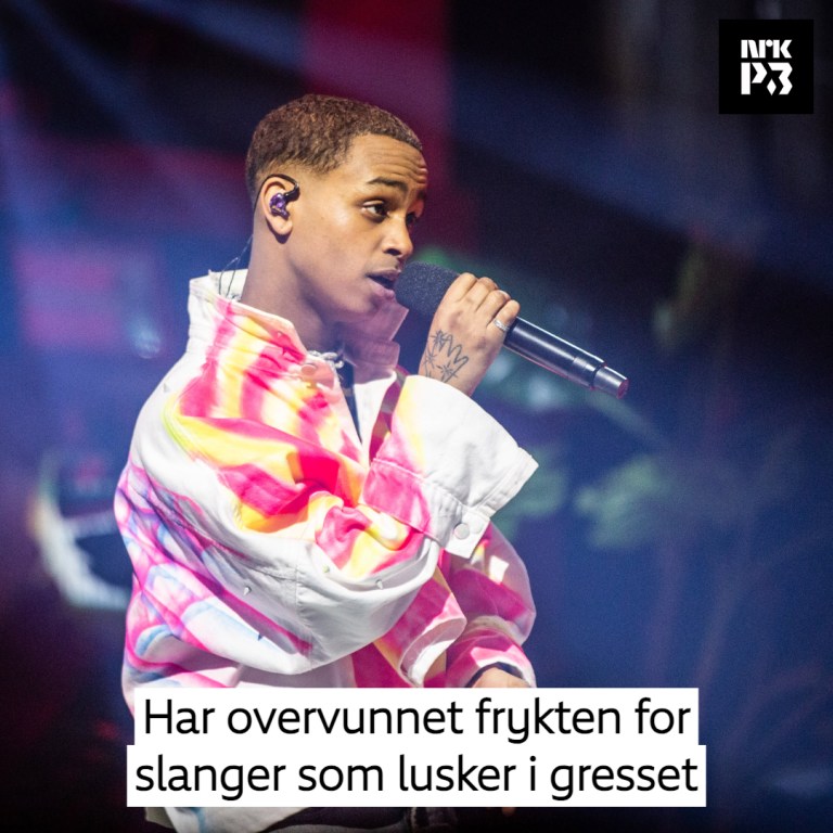Link i bio: Har overvunnet frykten for slanger som lusker i gresset