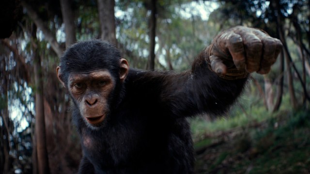 ALENE: Noa (Owen Teague) må lete etter klanen sin i «Kingdom of the Planet of the Apes». Foto: © 2024 20th Century Studios. All Rights Reserved.