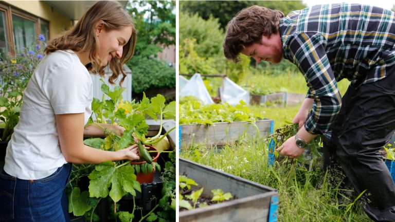 Urban dyrkeboom – slik gror du dine egne grønnsaker