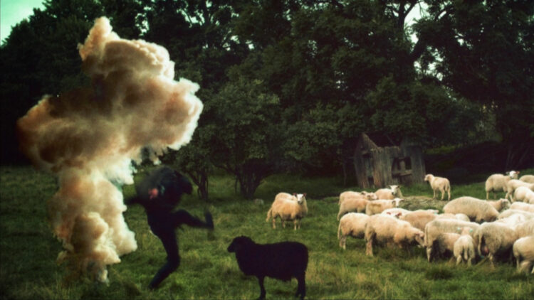 Ninja og sauer i Kommandør Treholt & Ninjatroppen. (Foto: Euforia Film)