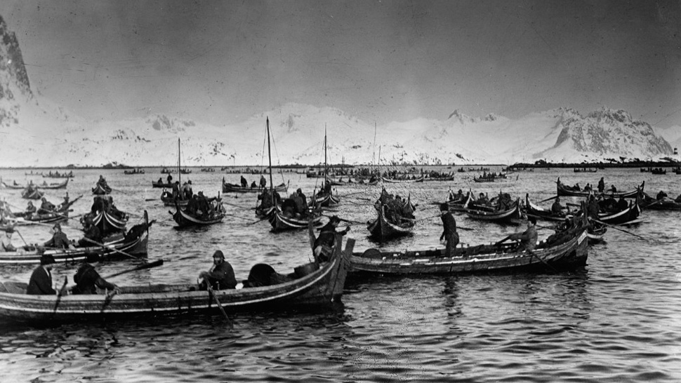 Lofotfiske 1920. (Foto: Ukjent / NTB Scanpix)