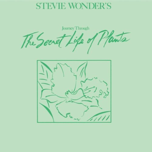Steve Wonder - Secret Life of plants