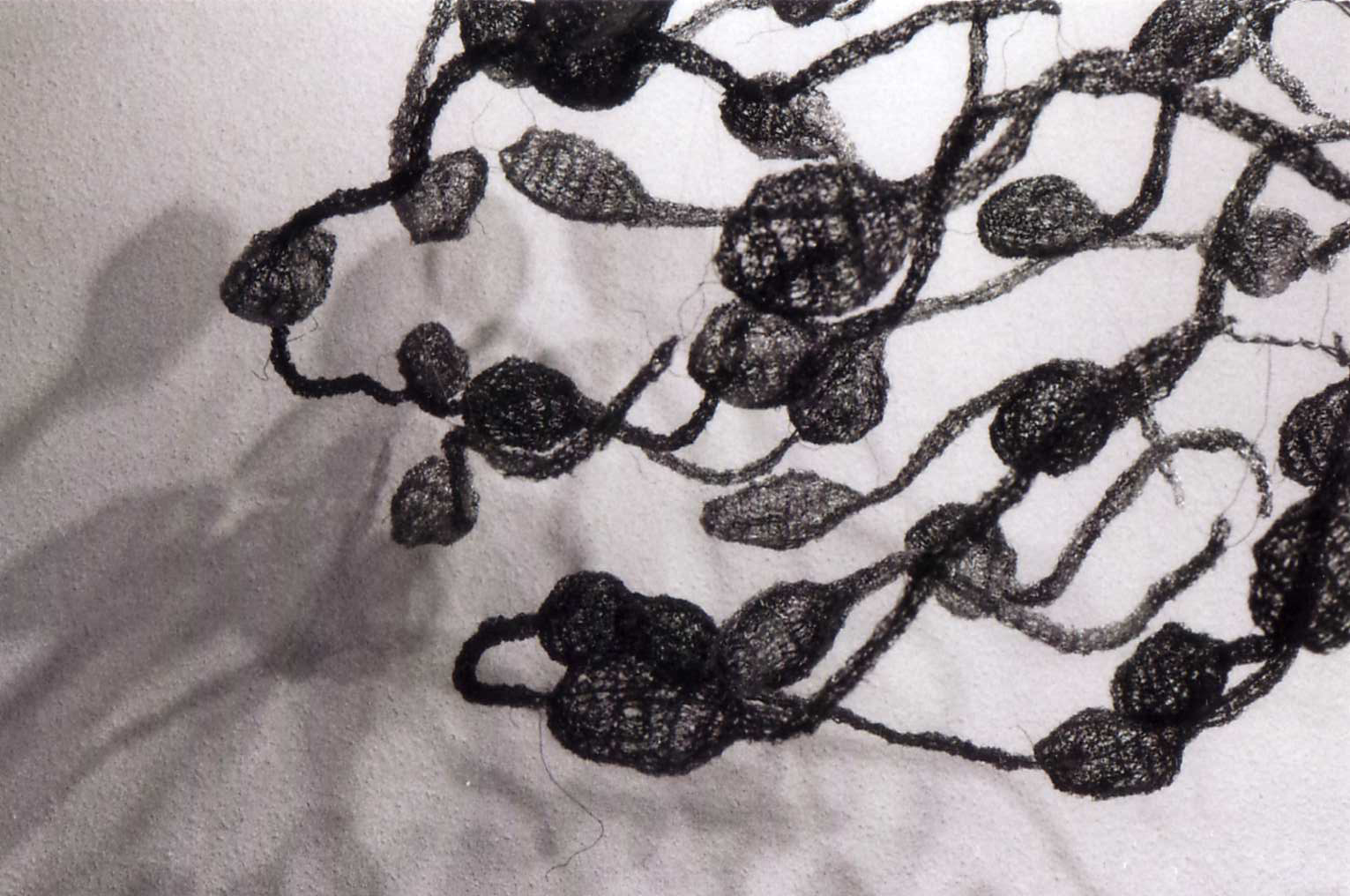 Wire sperm. (Illustrasjonsfoto:  goodlookingcunt II  / CC BY 2.0)
