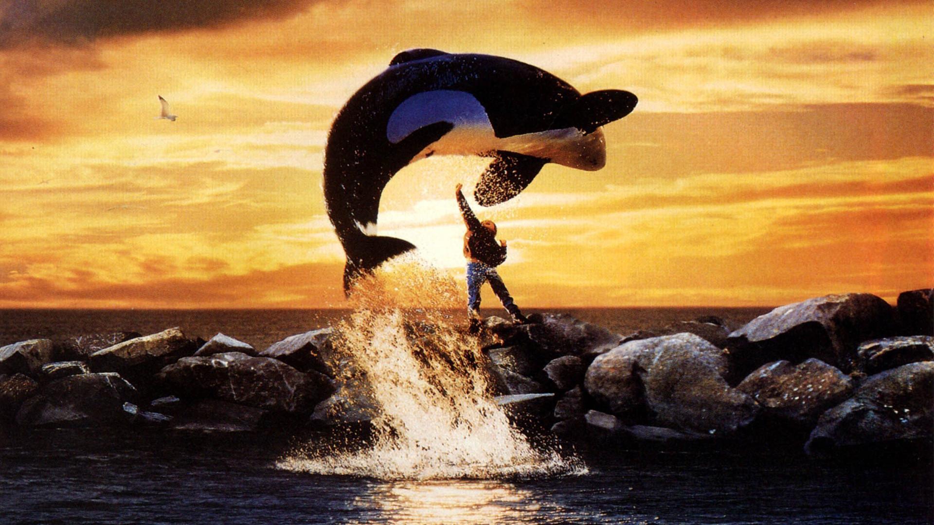 Free Willy promo. Foto: Warner Bros