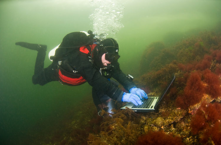 Bildet viser ein dykkar som skriver på ein laptop som ligg under vatn. 
