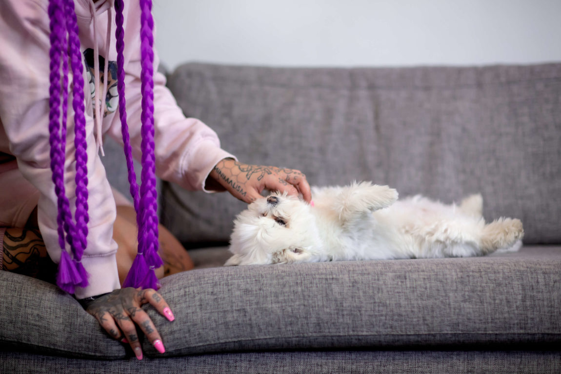 Den lille fluffy hunden til Helene ligger på ryggen og hun klør den på magen.