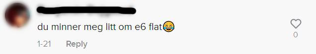 Et skjermbilde av en kommentar på Tiktok der det står: du minner meg litt om e6 flat [latter-emoji]