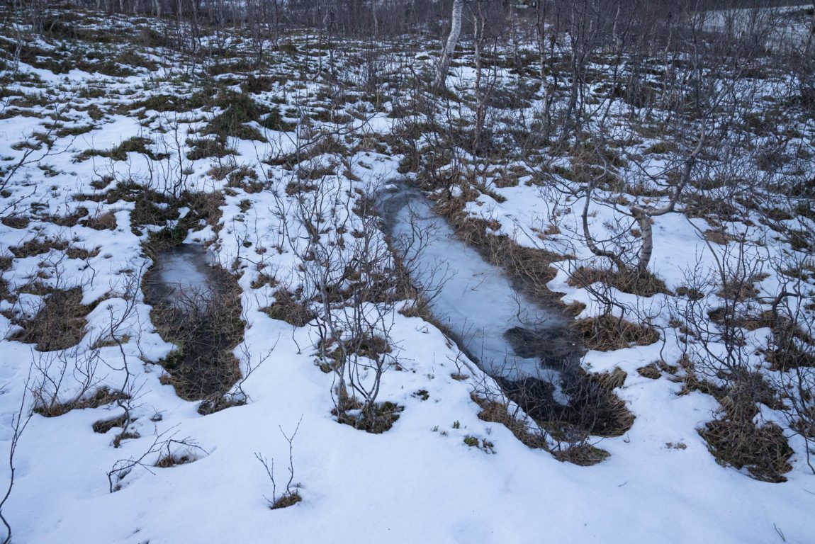 Sporet av ei beltevogn er stempla ned i terrenget. Det har danna seg ei overflate av is i spora. Det er snø på bakken og små nakne trestammar dannar ein liten skog rundt. Dette viser korleis militære øvingar set spor i naturen. 