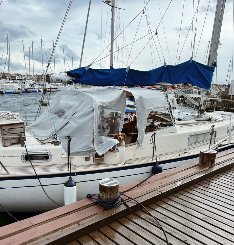 Seilbåten til Herman ligger til havn, ut gjennom glidelåsen titter hunden Cairo. I bakgrunnen viser andre båter som er fortøyd i havna, og bølger i havet.