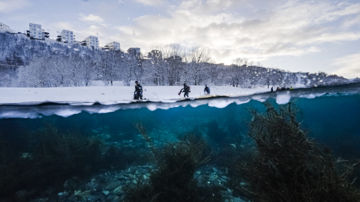 Eit bilde frå havoverflata og inn mot land. Vi ser både land og under vatnet i bildet. Det er snø, og det går tre dykkarar langs fjøra. 