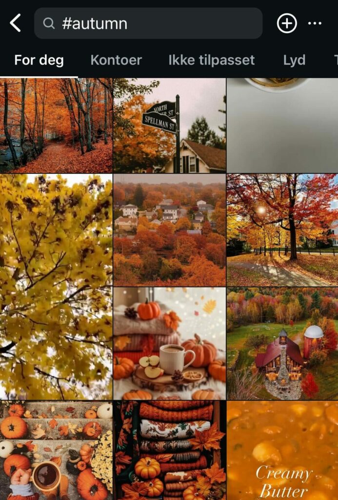 Bildet er en skjermdump fra Instagram. Den viser mange forskjellige poster under emneknaggen #autumn. Bildene har masse oransje løv i seg.