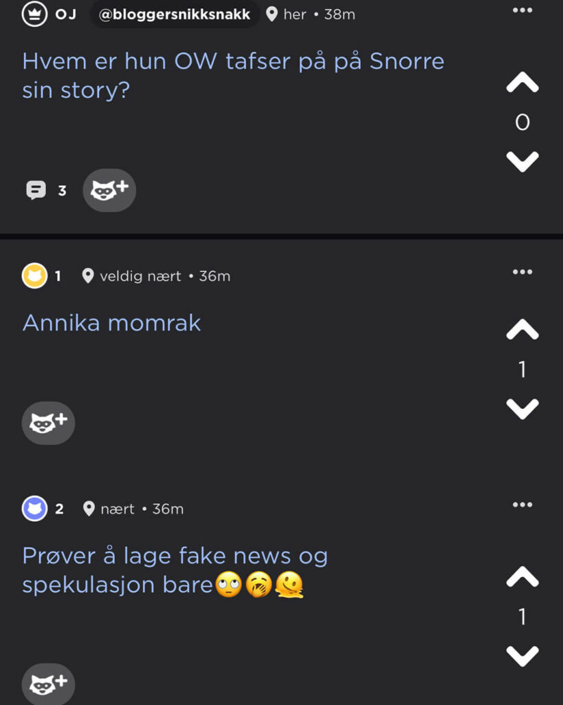 Skjermbilde av tre innlegg på Jodel, der det står «Hvem er hun OW tafser på på Snorre sin story?», «Annika Momrak» og «Prøver å lage fake news og spekulasjoner bare».