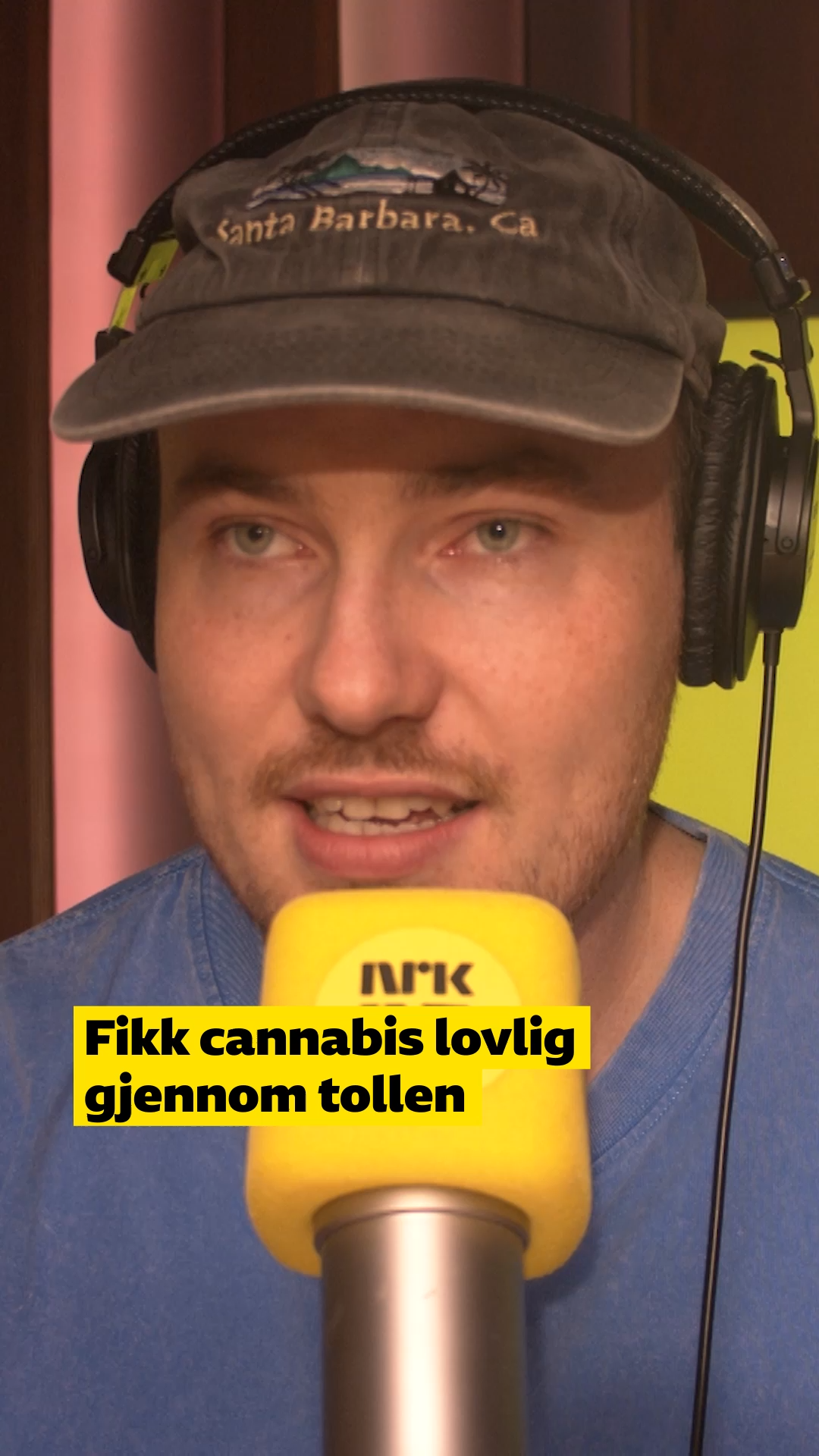 Link i bio: Cannabis-reise (p3morgen)